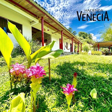 Hacienda Venecia Hostel San Peregrino Екстер'єр фото